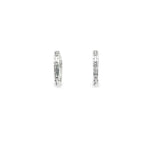 Load image into Gallery viewer, Elegant White Gold Hoop Earrings