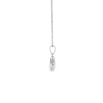 Load image into Gallery viewer, White Gold Charm Necklace with Round Cut CZ