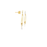 Load image into Gallery viewer, Yellow Gold Coin Charm Dangle Earrings