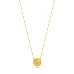 Load image into Gallery viewer, 14ct Gold Medusa Necklace