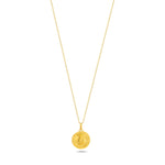 Load image into Gallery viewer, 14ct Gold Reversa Necklace