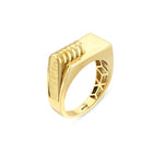 Load image into Gallery viewer, 14ct Paladin Design Gold Ring
