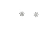 White Gold CZ Stud Earrings