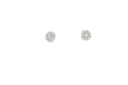 14ct White Gold Stud Earrings with CZ Cluster