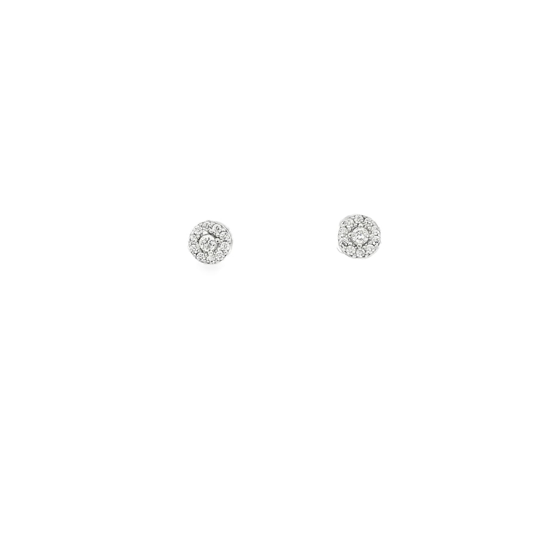 14ct White Gold Stud Earrings with CZ Cluster