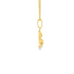 Load image into Gallery viewer, Yellow Gold Dolphin Charm Necklace with Round Brilliant CZ