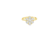 Yellow Gold Ring with Round Cut CZ Cluster