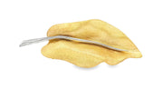 Elegant Yellow Gold Leaf Brooch