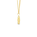 Load image into Gallery viewer, Yellow Gold Charm Necklace with Mother of Pearl