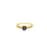Load image into Gallery viewer, 9ct Yellow Gold Multistone Ring with Fancy Black Diamonds