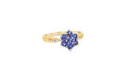 9ct Gold Multi-Stone Ring with Tanzanite Cluster