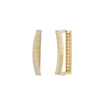 Load image into Gallery viewer, 14ct Stone Set Acacia Gold Earrings