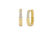 14ct Stone Set Buttercup Gold Earrings