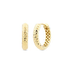Load image into Gallery viewer, 14ct Tassiz Cora Hoop Gold Earrings