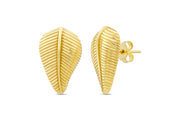 14ct Line Leaf Gold Design Earrings