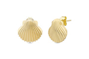 14ct Shell Design Gold Earrings