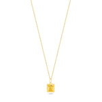Load image into Gallery viewer, 14ct Gold Pura Necklace