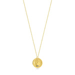 Load image into Gallery viewer, 14ct Gold Victorin Necklace