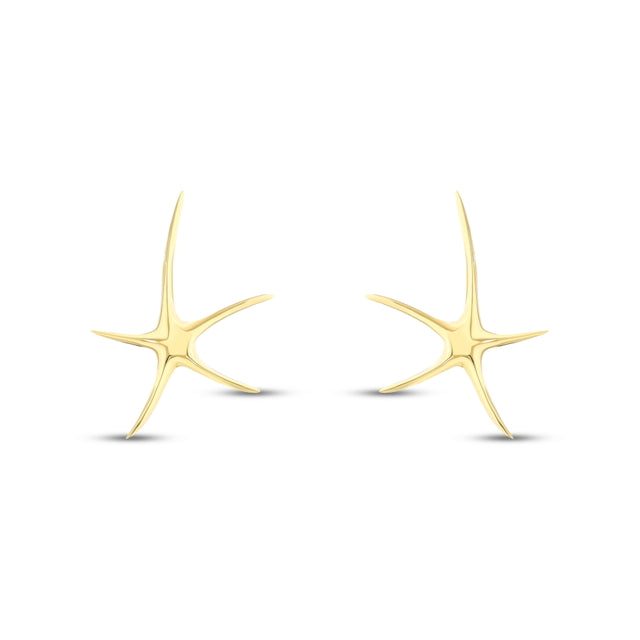 14ct Starfish Design Gold Earrings
