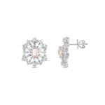 Load image into Gallery viewer, 2.45 Karat Renkli Stone Set Diamond Design Earrings
